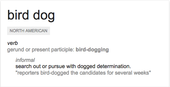 what is a bird dog contract