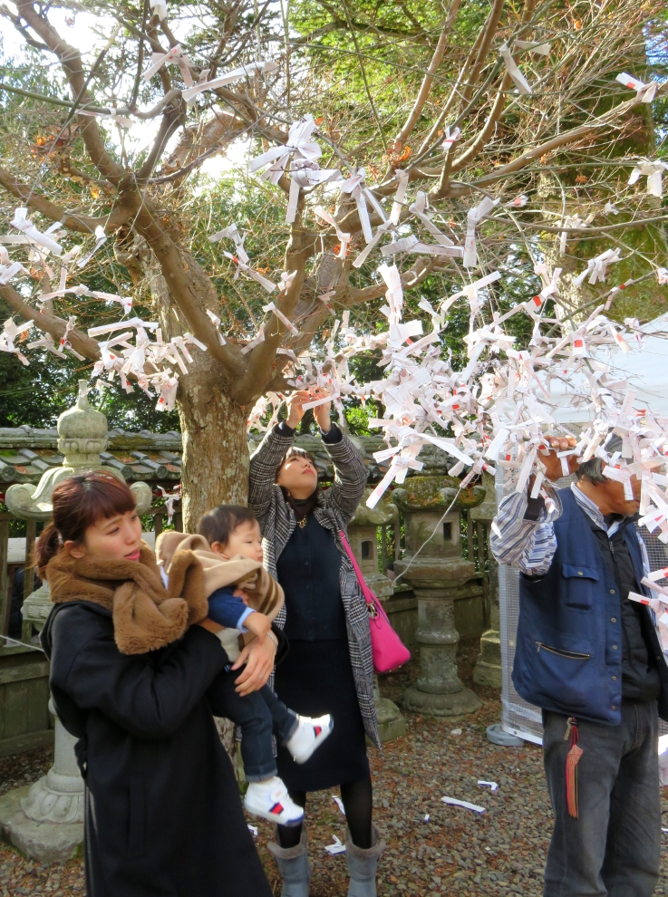 005 Prayer Tree