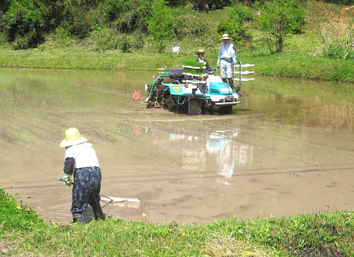 02 - Planting Rice