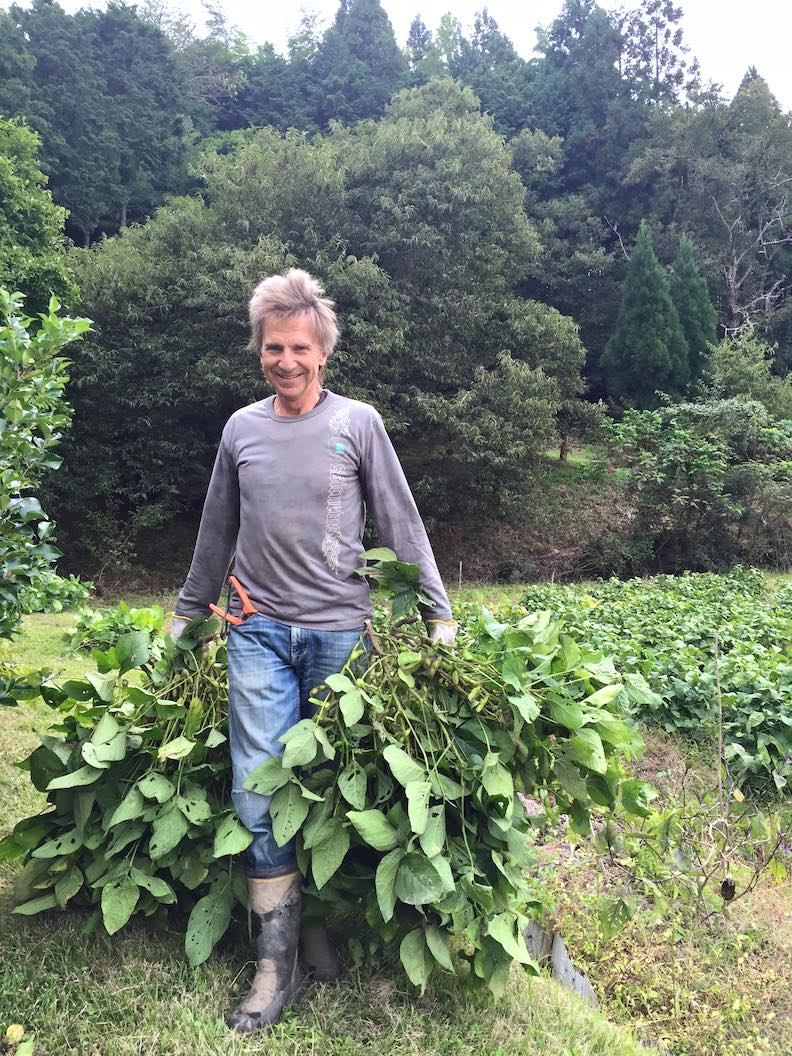 05 - Harvesting Edamame