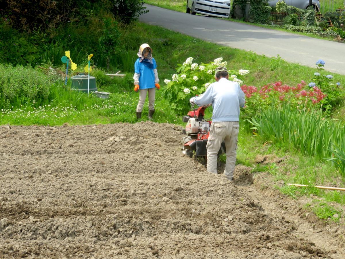 05 - Vegetable Gardens