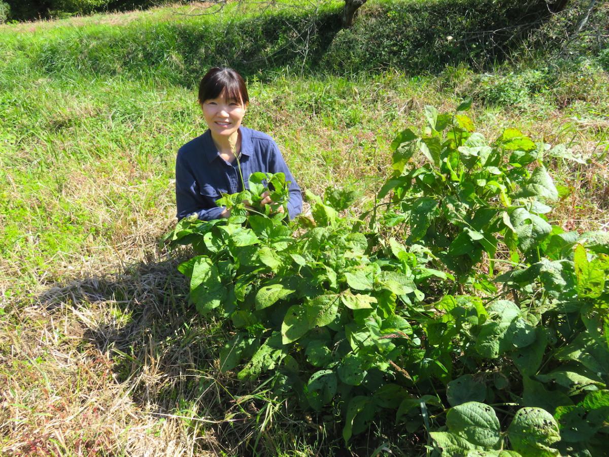 06 - Masumi Soybean Farmer