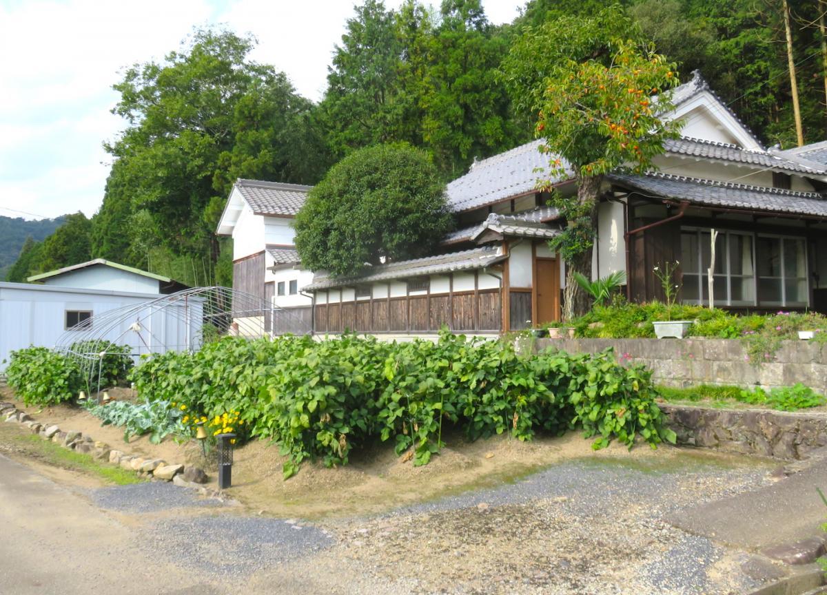 07 - Vegetable Gardens