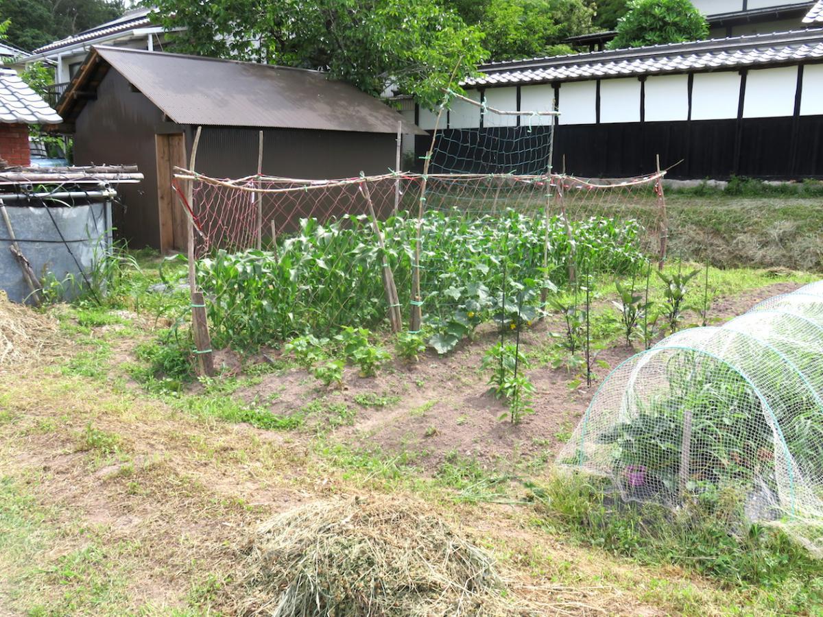 10 - Vegetable Gardens