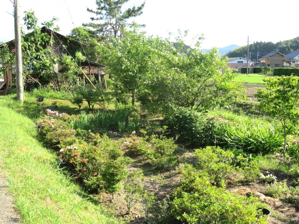 11 - Vegetable Gardens