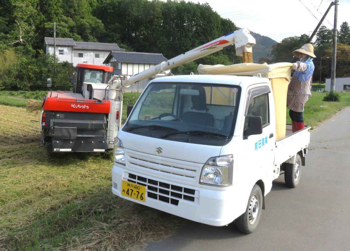 8 - Harvesting Rice