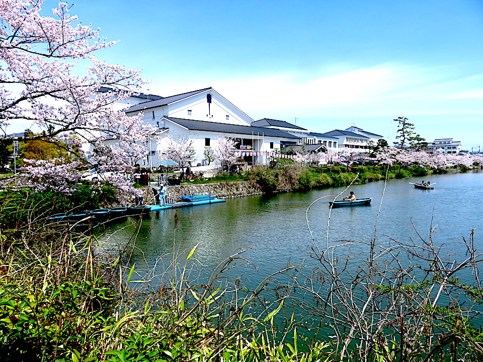 Cherry-Blossoms Activities 04