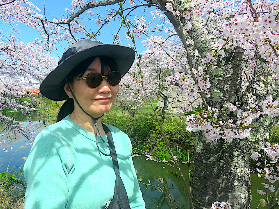 Cherry-Blossoms Day 06