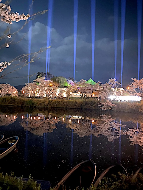 Cherry-Blossoms Night 05