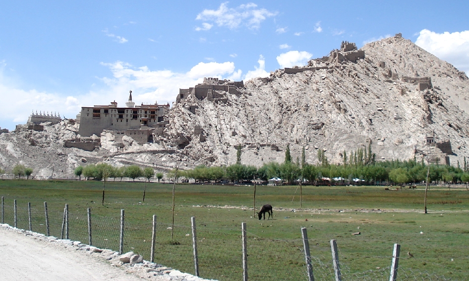 A78 SheyGompaOutsideofLadakh1