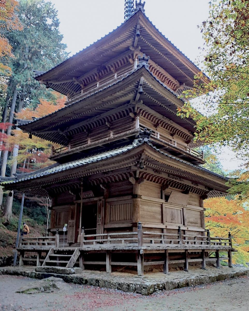 Kogenji-Temple 02